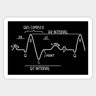 Hand Drawn Normal Electrocardiogram White Magnet